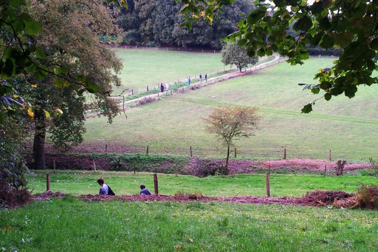 Natuurhuisje Heerlijkheid Beek بيرخْ إن دال المظهر الخارجي الصورة