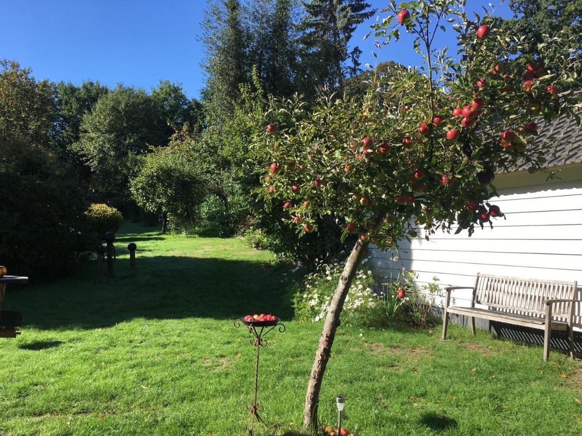 Natuurhuisje Heerlijkheid Beek بيرخْ إن دال المظهر الخارجي الصورة